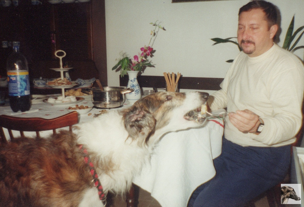 img_0048_std.jpg