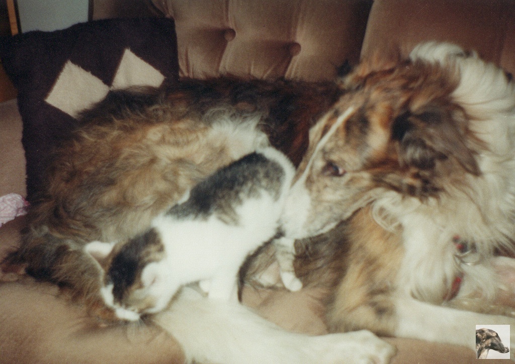img_0051_std.jpg