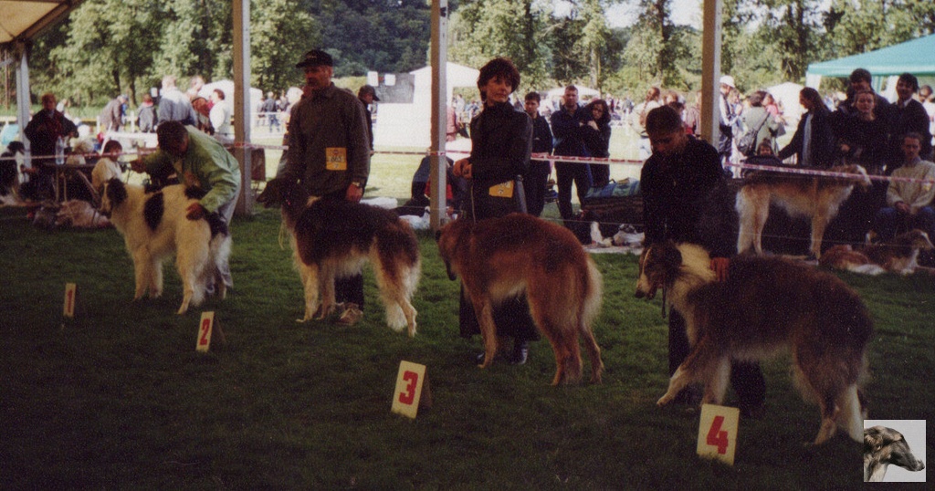 img_0064_std.jpg