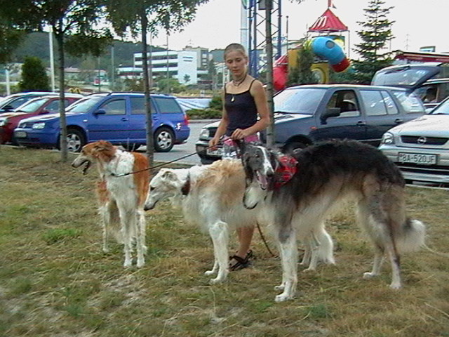 IMGA0454.JPG